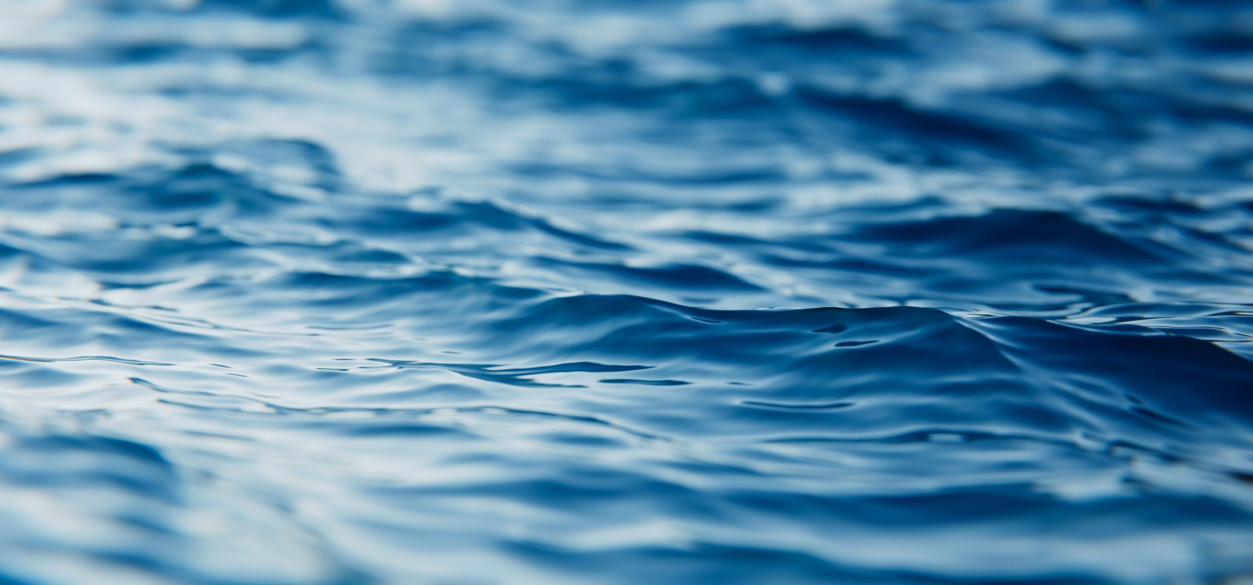 Protected: RESPONSIBLE SOURCING